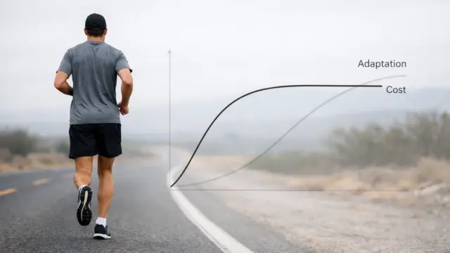 When Long Runs Stop Building Endurance