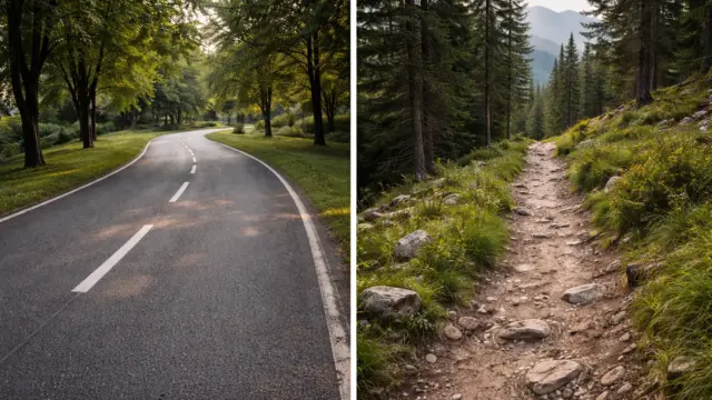 Asphalt vs Trails: How Terrain Changes the Way You Run