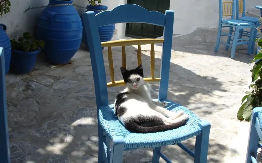 Don’t Be Afraid of Losing a Session