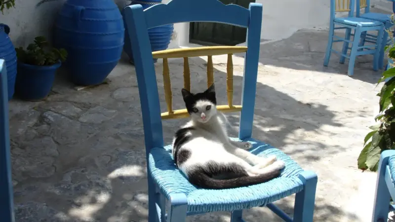 Don’t Be Afraid of Losing a Session